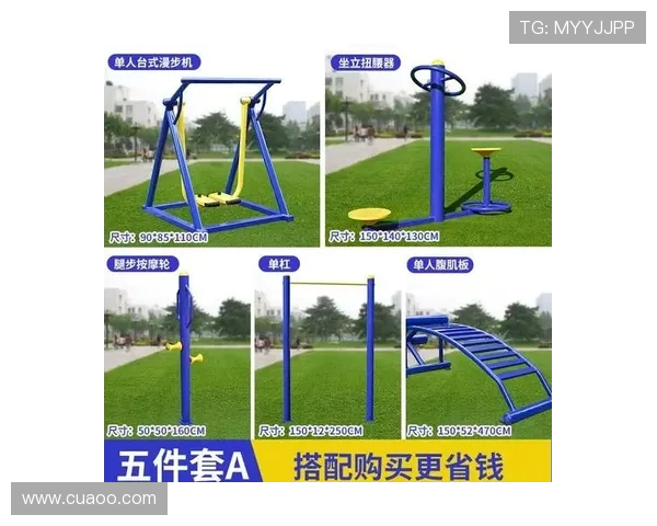 健身器材品名大全及功能分类详解