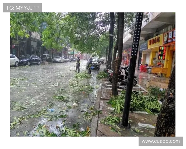 雨季足球场排水系统与围挡结构的协同设计